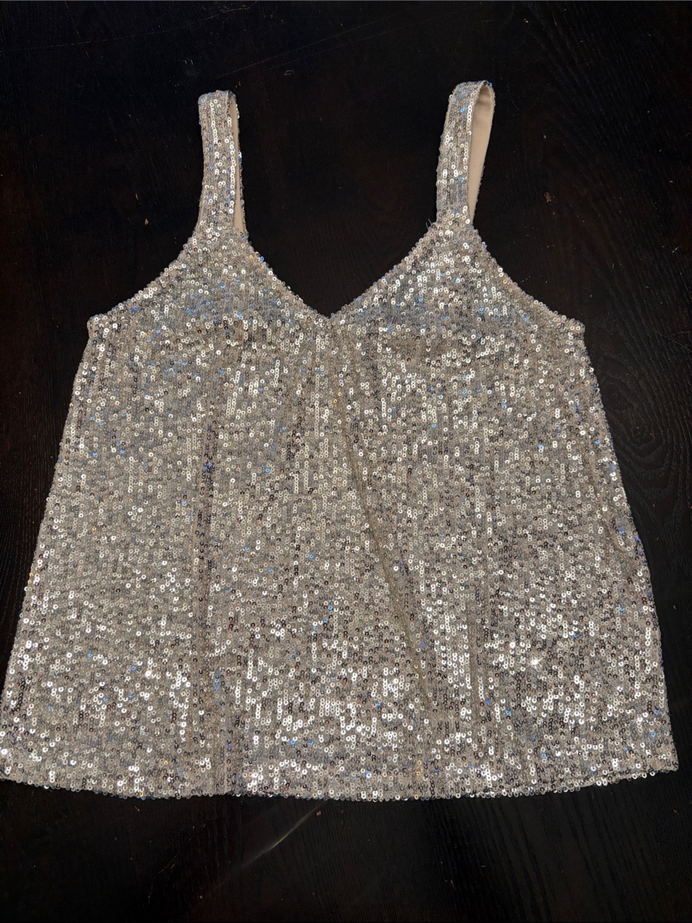 love on a hanger Silver Sequin V-Neck Camisole